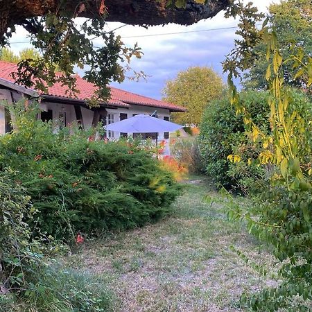 Villa Cool Landes à Sainte-Eulalie-en-Born Extérieur photo