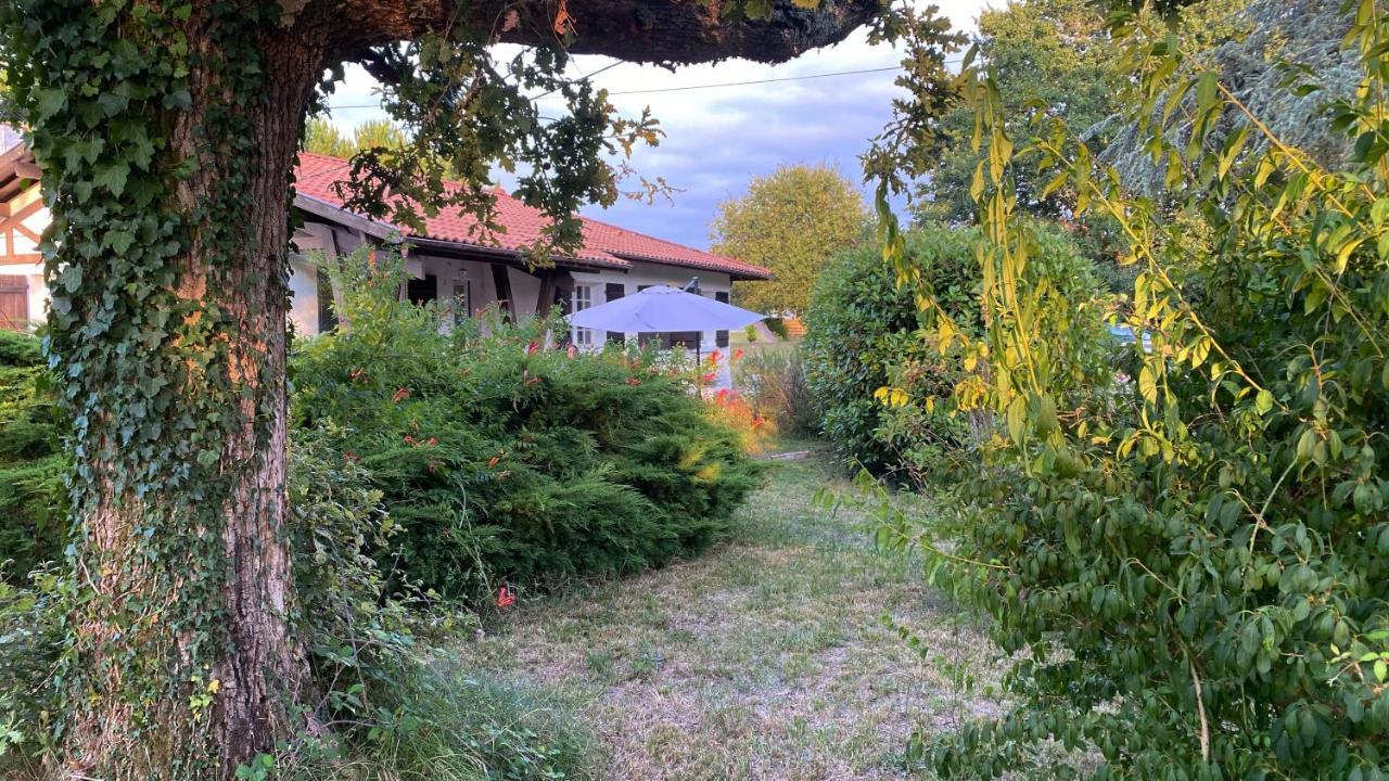 Villa Cool Landes à Sainte-Eulalie-en-Born Extérieur photo
