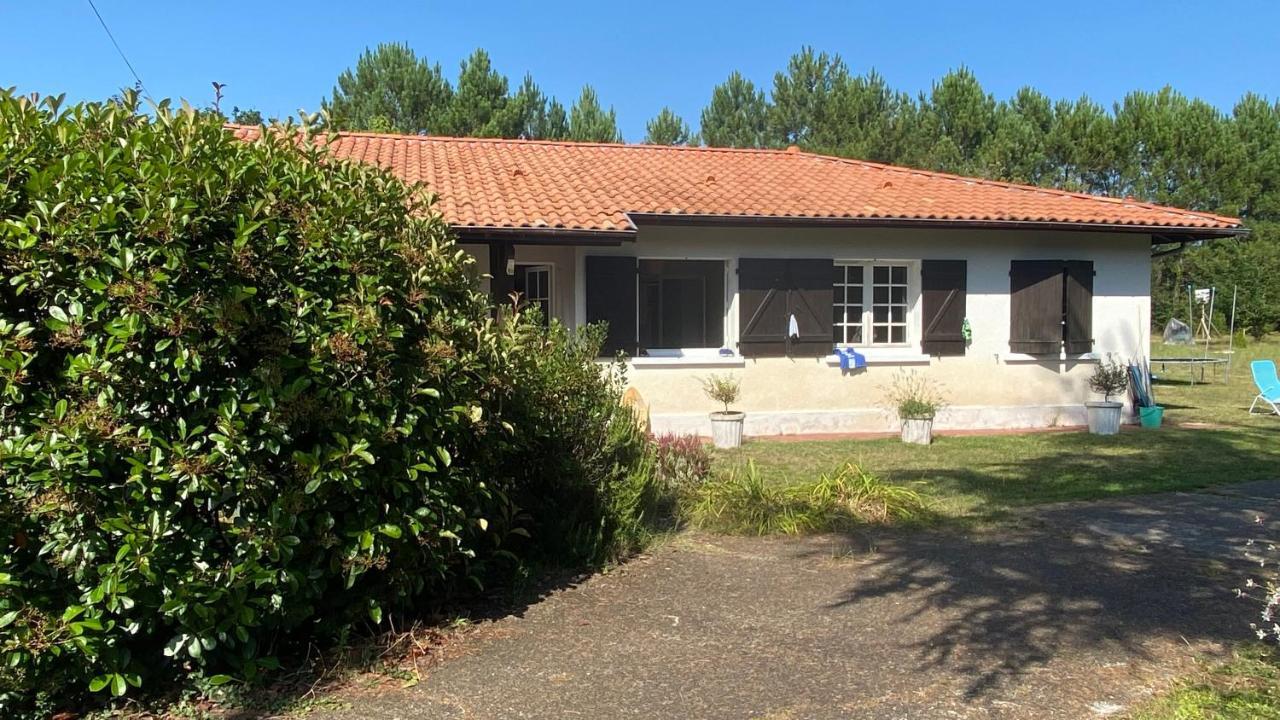 Villa Cool Landes à Sainte-Eulalie-en-Born Extérieur photo